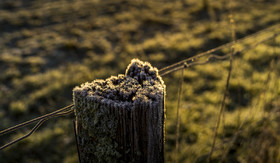 B0005162_web.jpg