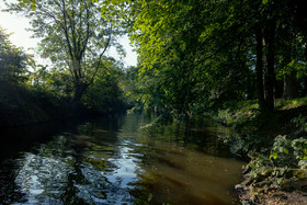 _H6A7672.jpg