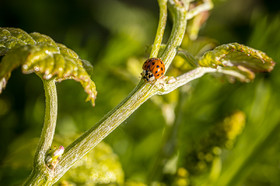 _AR_8778_web.jpg