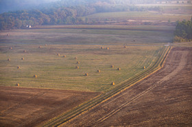 D00_1286.jpg