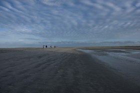 _DSC5841.jpg