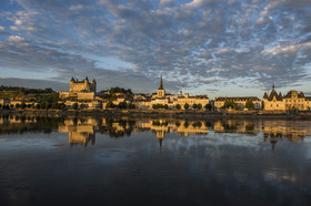 _D804225.jpg