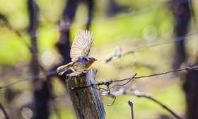 _AR_7003_DxO_web.jpg
