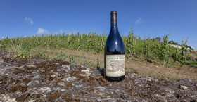_AR_9555-Panorama-Modifier.jpg