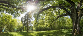 _D801628-Panorama-Modifier.jpg