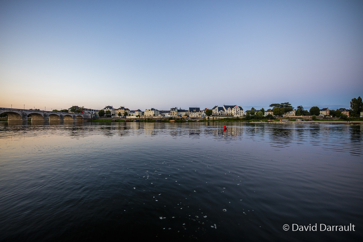_D009305.jpg
