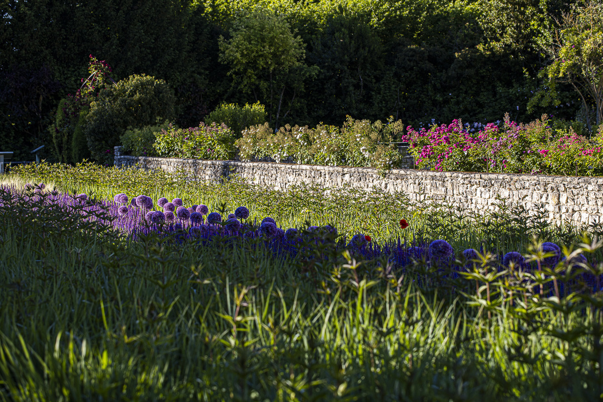 Fête des roses château du Rivau