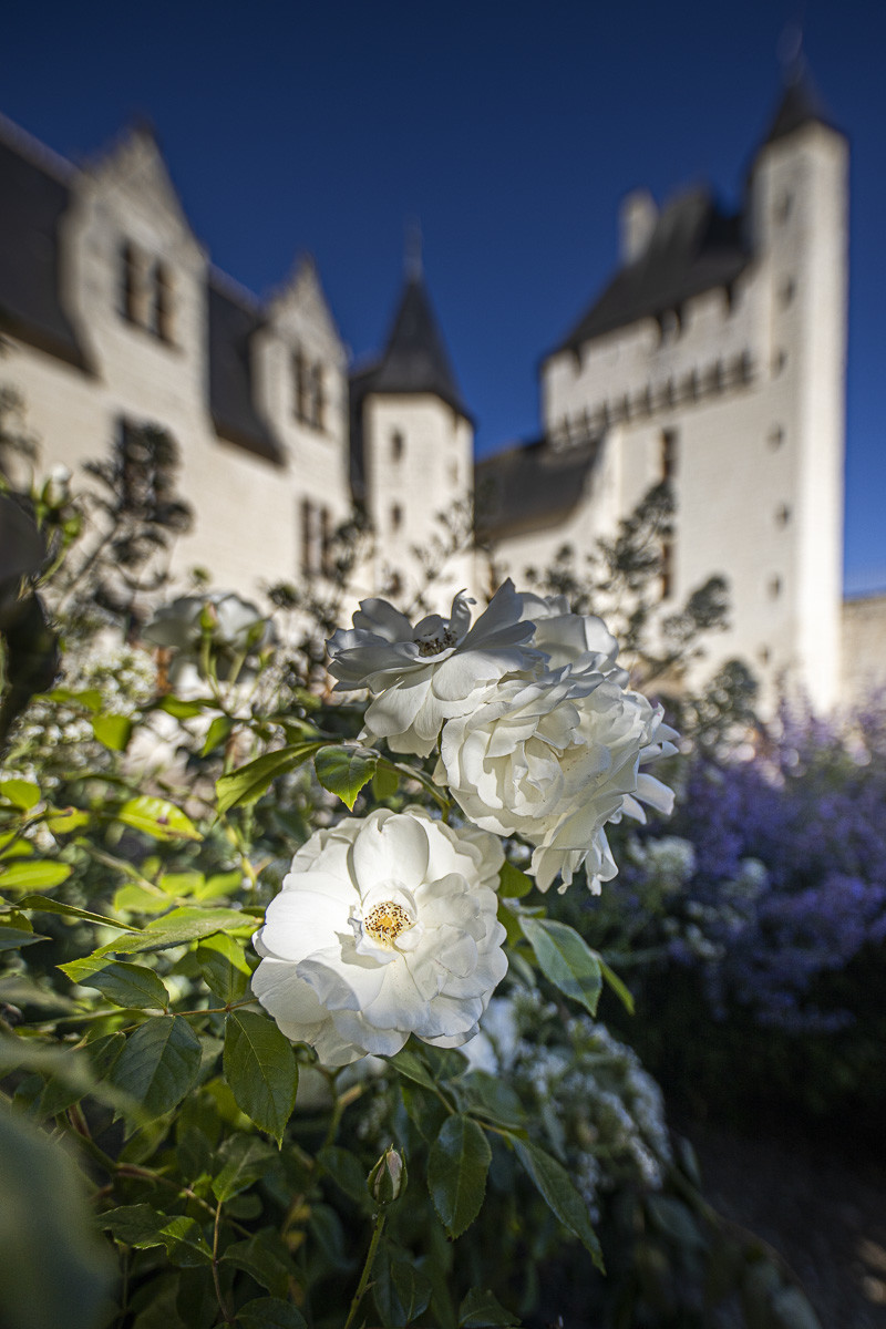 Fête des roses château du Rivau