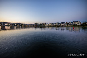 _D009306.jpg