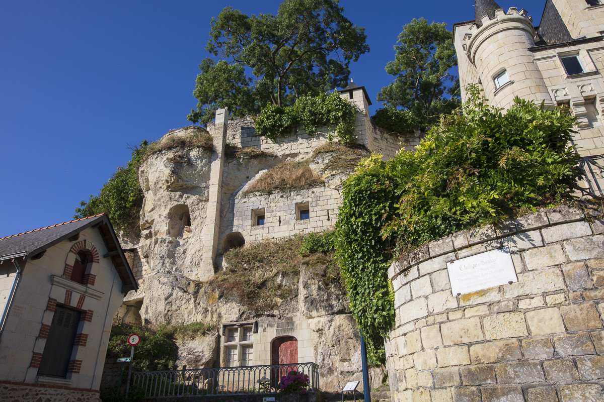 _D003161.jpg