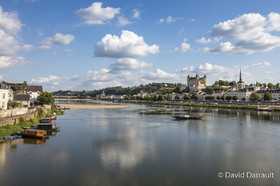 _D008858.jpg