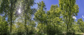 _D801531-Panorama-Modifier.jpg