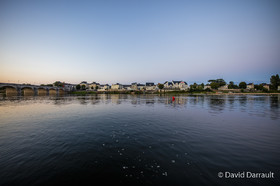 _D009305.jpg