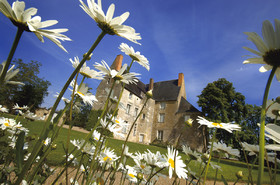 Sache_fleurs_Darrault_40x30.jpg