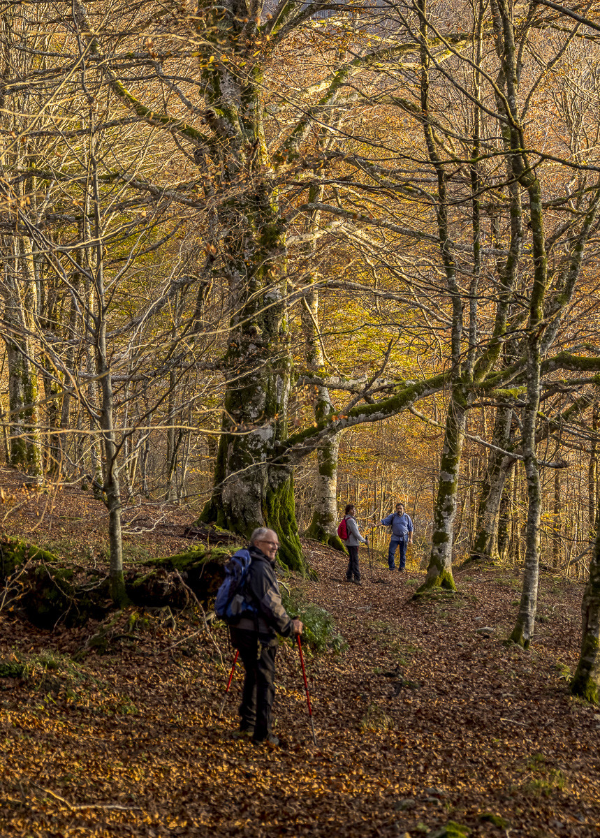 Les Pyrénées en automne