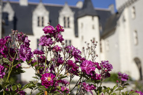 Fête des roses château du Rivau
