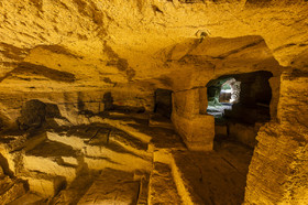 _D002264.jpg