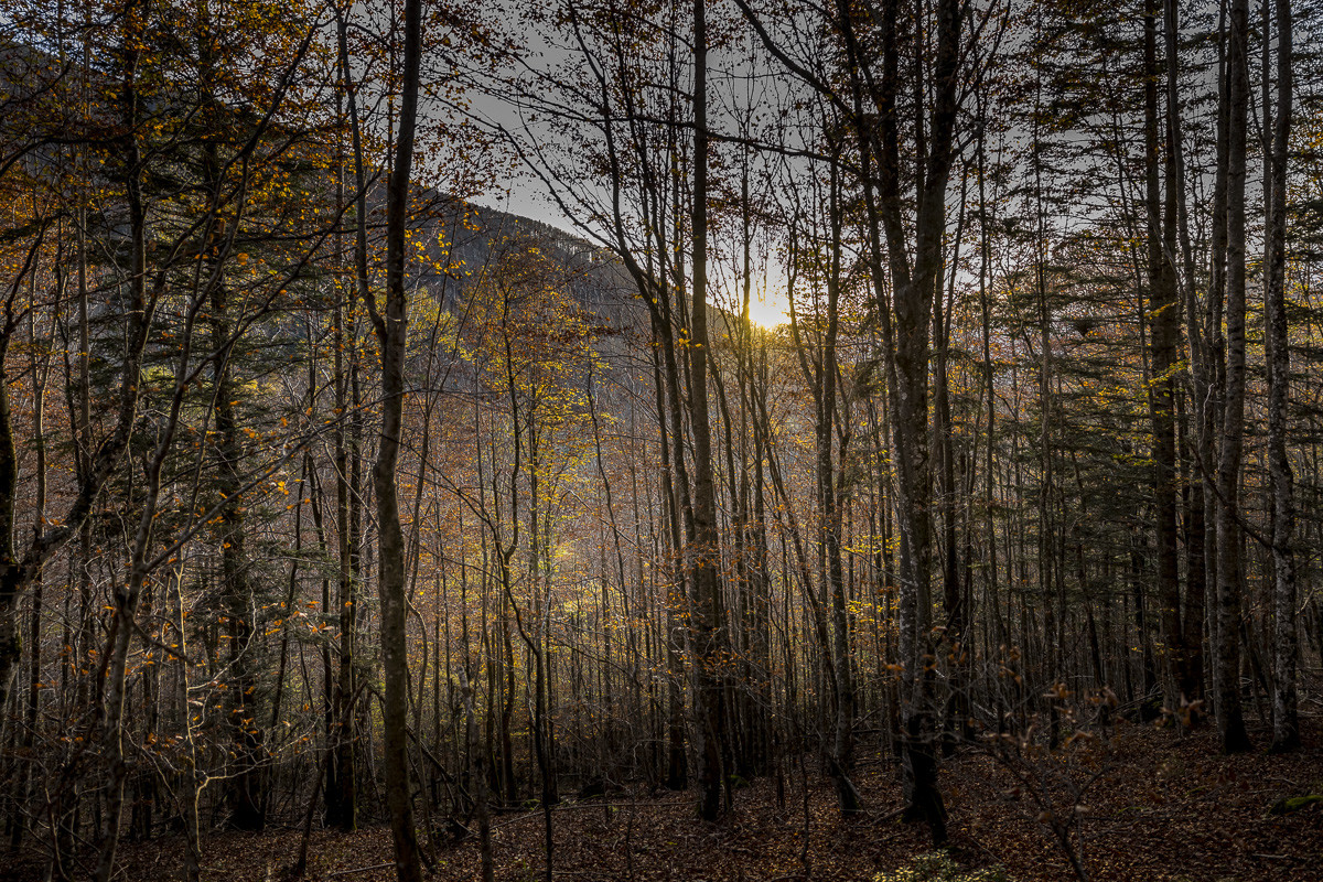 Les Pyrénées en automne