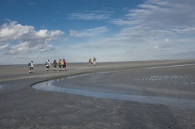 _DSC5813.jpg
