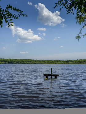 DSCF5011_web.jpg