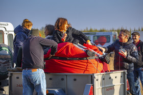 D00_1394.jpg