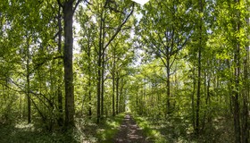 _D801704-Panorama-Modifier.jpg