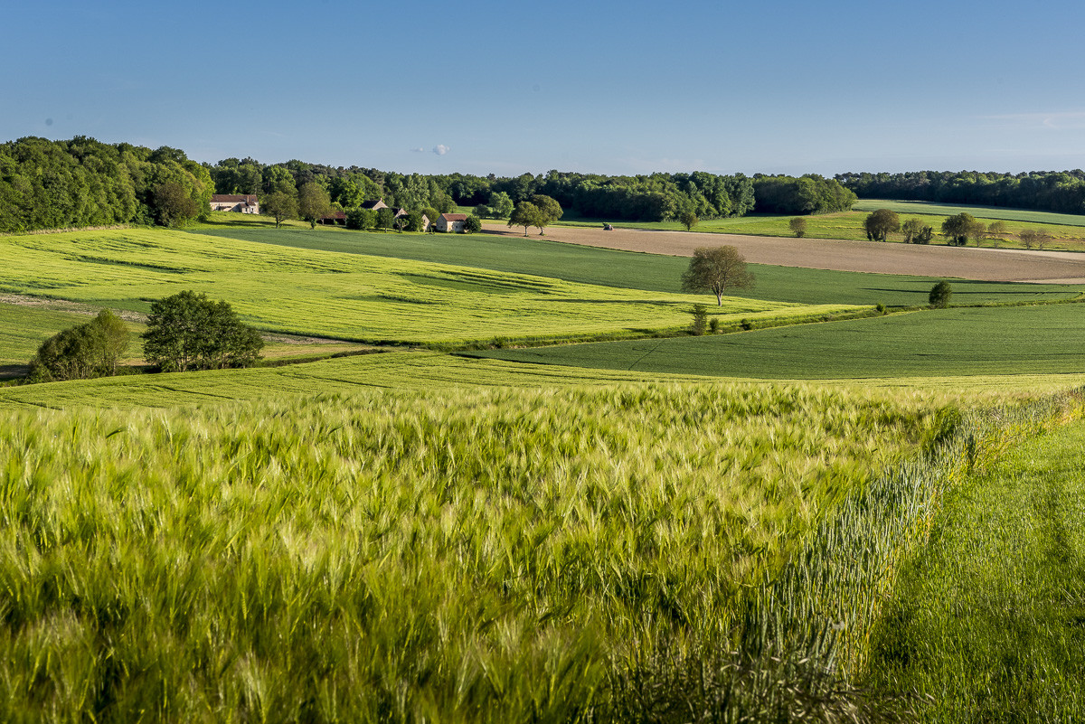 _DSC3386_web.jpg