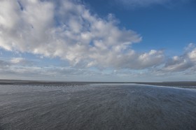 _DSC5799.jpg