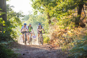 Vélo à St Nicolas de Bourgueil  37