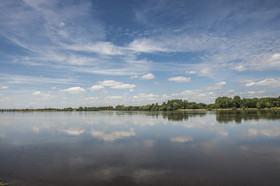 _D803914.jpg