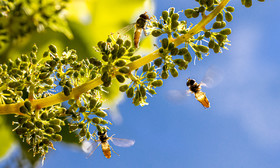 _AR_0111_web.jpg
