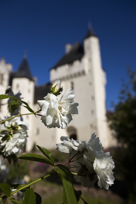 Fête des roses château du Rivau