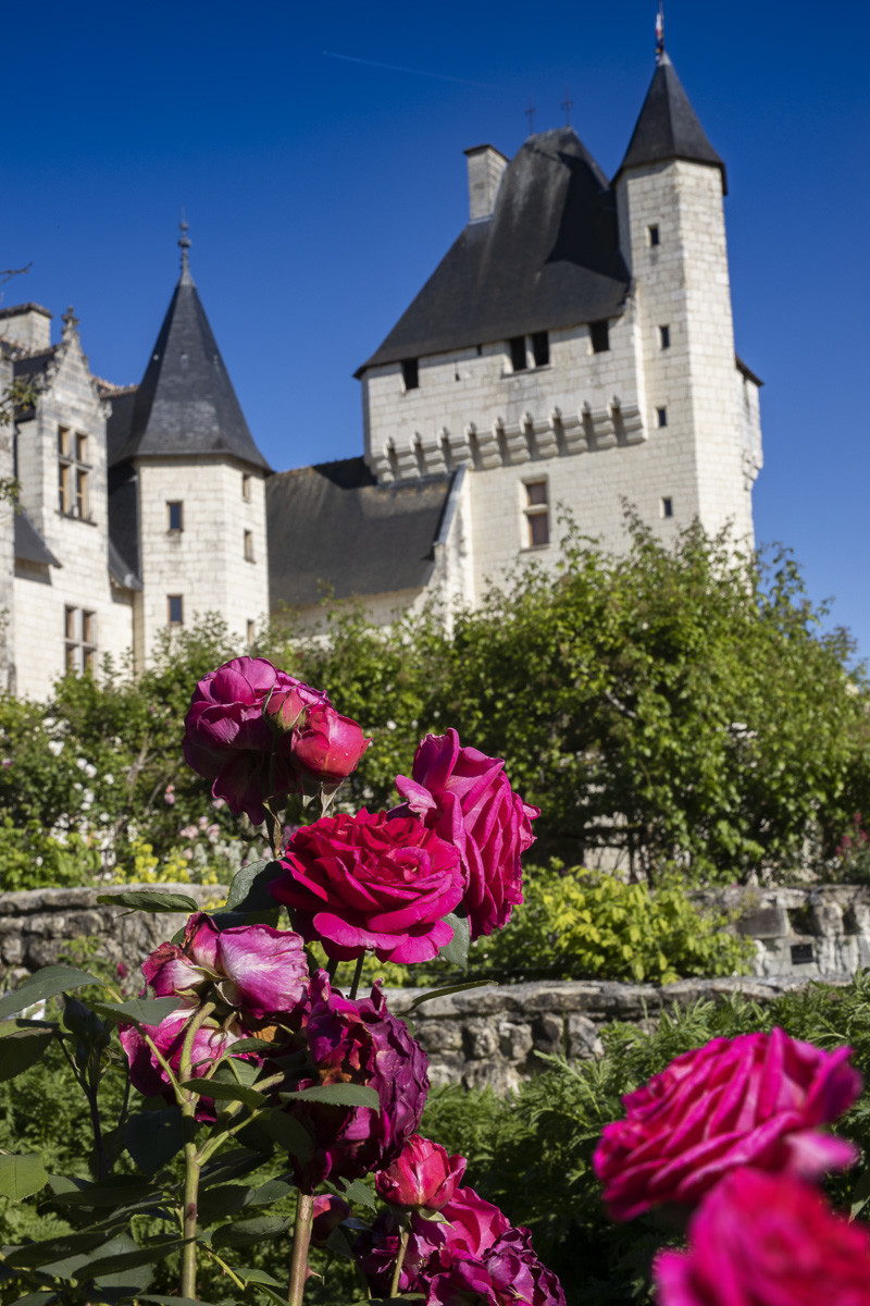 Fête des roses château du Rivau