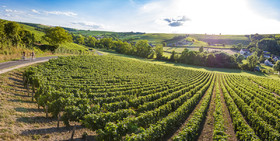 _K6A4022-Panorama-Modifier-Modifier_web.jpg