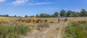 _Y5A0222-Panorama_web.jpg