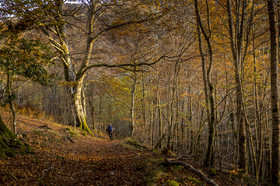 Les Pyrénées en automne