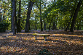 _Y5A8587.jpg