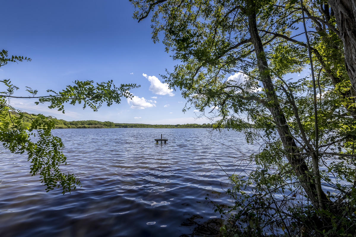 _H6A8097_web.jpg