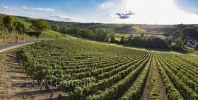 _K6A4022-Panorama-Modifier.jpg
