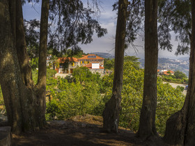 B0003807_web.jpg