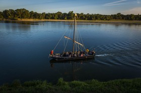 _D806535.jpg