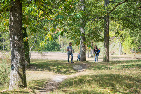 _DSC4750_web.jpg