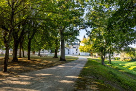 WEB_H6A0170.jpg