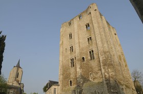 _EGL2334.jpg