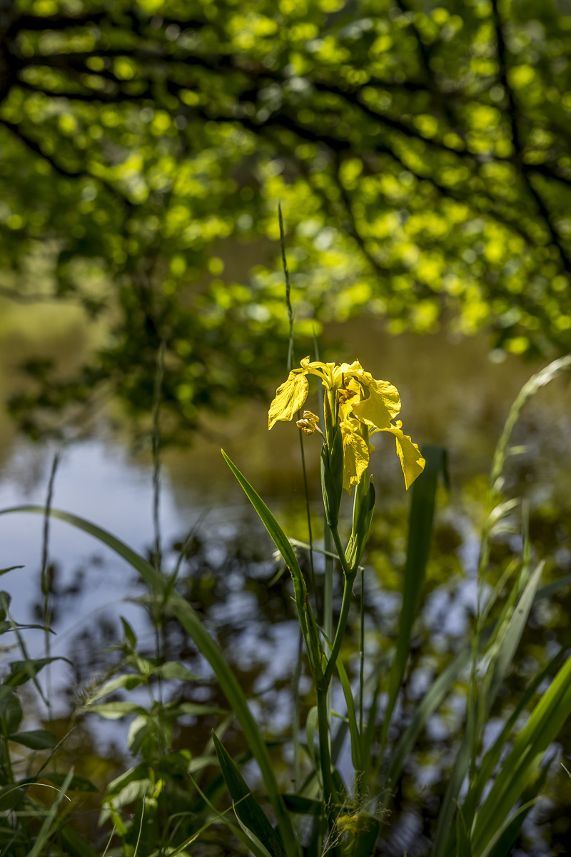 _H6A7939_web.jpg
