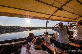 _D008960.jpg