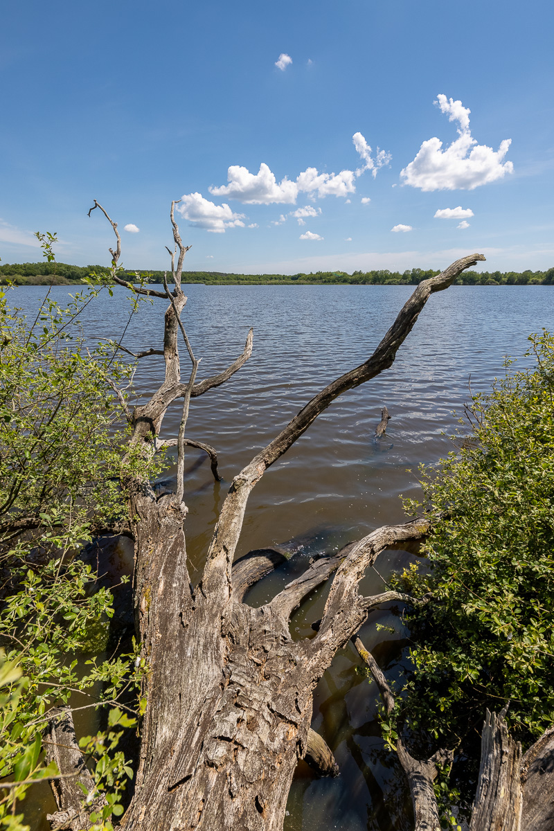 _H6A8086.jpg