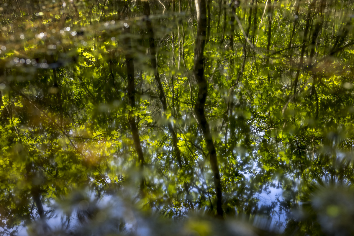 _H6A7958_web.jpg