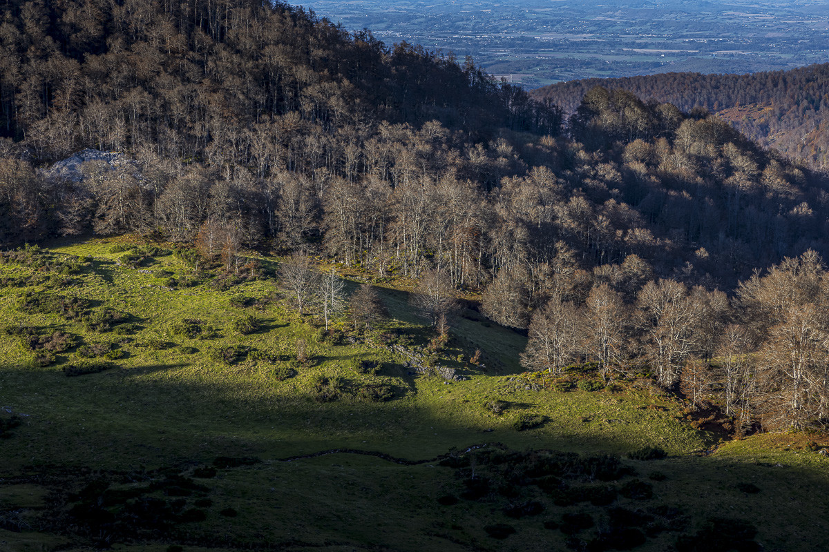 Les Pyrénées en automne