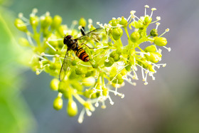 _AR_0034_web.jpg